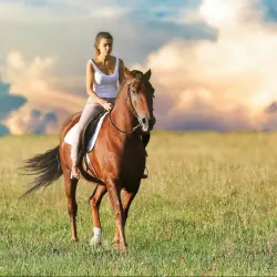 Image representing Girl on Horse